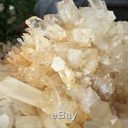 12.8lb Large Natural Clear White Quartz Crystal Cluster Rough Healing Specimen