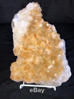 12 Citrine Cathedral Geode Crystal Quartz Cluster Specimen Brazil Amethyst