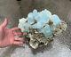 12 Pound, Huge Aquamarine Crystal Cluster With Muscovite From Pakistan