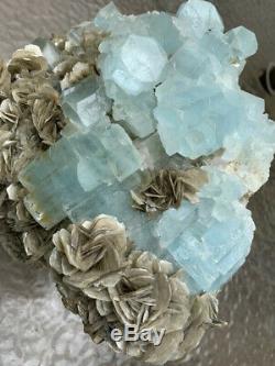 12 pound, Huge Aquamarine Crystal Cluster with Muscovite from Pakistan