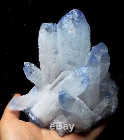 1222.9g NEW Find! Rare Beautiful Clear QUARTZ Blue Top Crystal Cluster Specimen