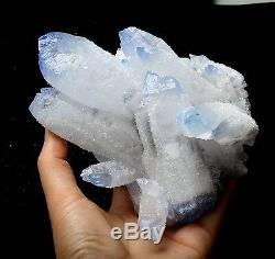 1222.9g NEW Find! Rare Beautiful Clear QUARTZ Blue Top Crystal Cluster Specimen