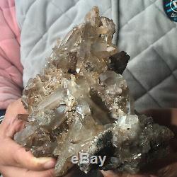 1227g Rare Natural Settlings Smoky Quartz Crystal Cluster Rough Healing Specimen