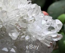 1230g New Find Clear Natural White chrysanthemum QUARTZ Crystal Cluster Specimen