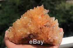 1235g Natural Rare Chrysanthemum Crystal Cluster Crystal Point Quartz Healing