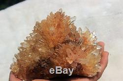 1235g Natural Rare Chrysanthemum Crystal Cluster Crystal Point Quartz Healing