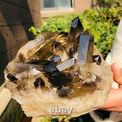 1250g Natural citrine Crystal quartz Cluster Mineral Specimen Healing 259
