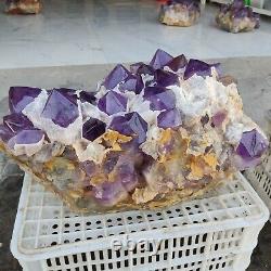 126LB Large Natural Amethyst Geode Quartz Cluster Crystal mineral Specimen