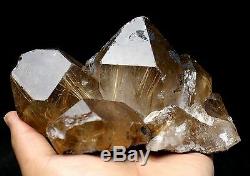 1279g Natural It's light brown Rutilated Crystal Cluster Mineral Specimen