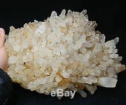 13.3lb New Find Rare NATURAL White Clear Quartz Crystal Cluster Specimen