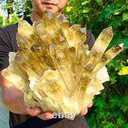 13.55LB Natural Citrine cluster mineral specimen quartz crystal healing F428