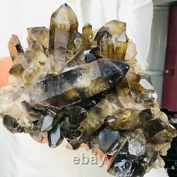 13.5LB Natural Smokey Citrine Quartz Crystal Cluster Mineral Healing M499