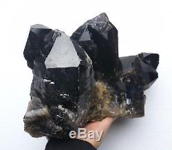 13.6LB Natural Beauty Rare Black Quartz Crystal Cluster Mineral Specimen