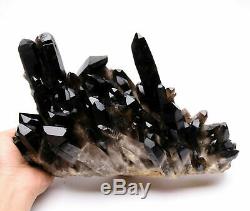 13.6lb Natural Clear Black Quartz Point Crystal Cluster Healing Mineral Specimen