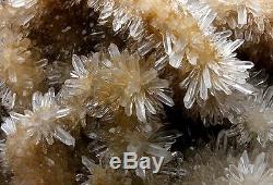 13.72lb New Find Natural White chrysanthemum QUARTZ Crystal Cluster Specimen