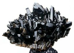 13.7LB Natural Beauty Rare Black Quartz Crystal Cluster Mineral Specimen
