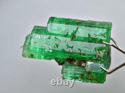 13.90 Ct Well Terminated Transparent Top Green Panjsher Emerald Crystal Bunch@AF