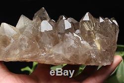 1310g New Find NATURAL Clear Golden RUTILATED QUARTZ Crystal Cluster Specimen