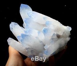 1325g NEW Find! Rare Beautiful Clear QUARTZ Blue Top Crystal Cluster Specimen