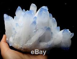 1325g NEW Find! Rare Beautiful Clear QUARTZ Blue Top Crystal Cluster Specimen