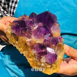 1340g HUGE Natural Purple Quartz Crystal Cluster Rough Specimen Healing 661