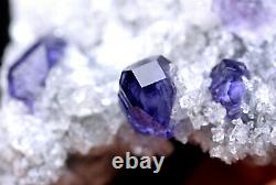 135.6g Natural Blue Purple FLUORITE Quartz Crystal Cluster Mineral Specimen