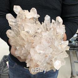 13LB Natural clear Quartz Cluster Mineral specimen Crystal specimen 11.4 TT503