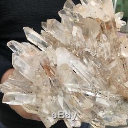 13LB Natural clear Quartz Cluster Mineral specimen Crystal specimen 11.4 TT503
