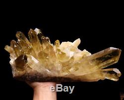 14.8lb Natural Clear Smoky Citrine Quartz Point Crystal Cluster Healing Mineral