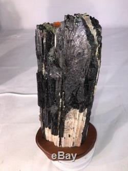 14 Black Tourmaline Natural Crystal Quartz Cluster Specimen Brazil