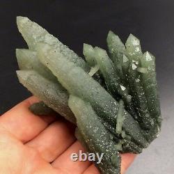 140.6g Natural Green Skeletal Crystal Cluster Quartz Crystal Mineral Specimen