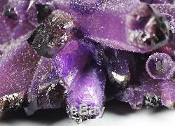 1400g RARE! New Find Natural Beatiful Amethyst Quartz Crystal Cluster Specimen