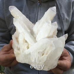 1492g Large Natural Clear White Quartz Crystal Cluster Rough Healing Specimen