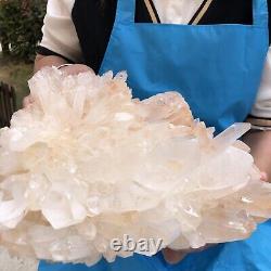 15.13LB Natural White Clear Quartz Crystal Cluster Rough Healing Specimen