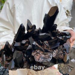 15.2lb Large Natural Black Smoky Quartz Crystal Cluster Point Raw Mineral Specim