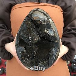 15.55LB Natural dragon septarian geode quartz cluster crystal egg healing CA1233