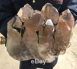 15.7lb Large natural smoky crystal rock quartz cluster point specimen reiki heal