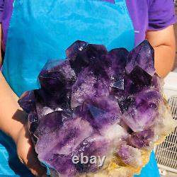15.86LB Natural Amethyst Cluster Quartz Crystal Mineral Specimen Healing