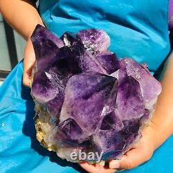 15.86LB Natural Amethyst geode quartz cluster crystal specimen Healing