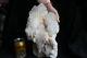 15.8lb Rare Skeletal Big Quartz Crystal Cluster Points With Baby Points Around