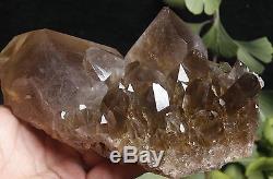 1510g Rare NATURAL Clear Golden RUTILATED QUARTZ Crystal Cluster Specimen