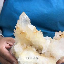 1560g Natural Clear Crystal Mineral Specimen Quartz Crystal Cluster