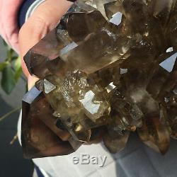 16.3lb Huge Natural Clear Smoky Quartz Crystal Cluster Rough Healing Specimen