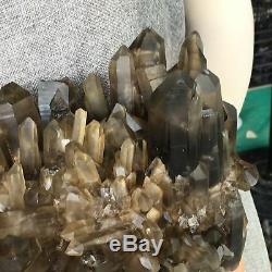 16.74LB Natural smoky citrine quartz cluster crystal specimen healing E8335