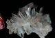 16.8lb Aaa+++ Clear Natural White Quartz Crystal Cluster Specimen