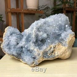 16.9LB Natural blue celestite geode Crystal Cluster Mineral Specimen Collection