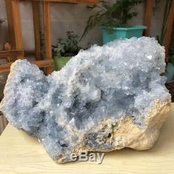 16.9LB Natural blue celestite geode Crystal Cluster Mineral Specimen Collection
