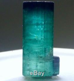 16 cts Bi color Ink Blue Cap ST Bunch of Tourmaline Crystal