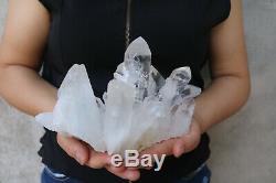 1600g Natural Beautiful Clear Quartz Crystal Cluster Tibetan Specimen Healing