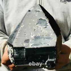 1648g Natural Black Smoky Elestial Quartz Crystal Rough Healing Specimen